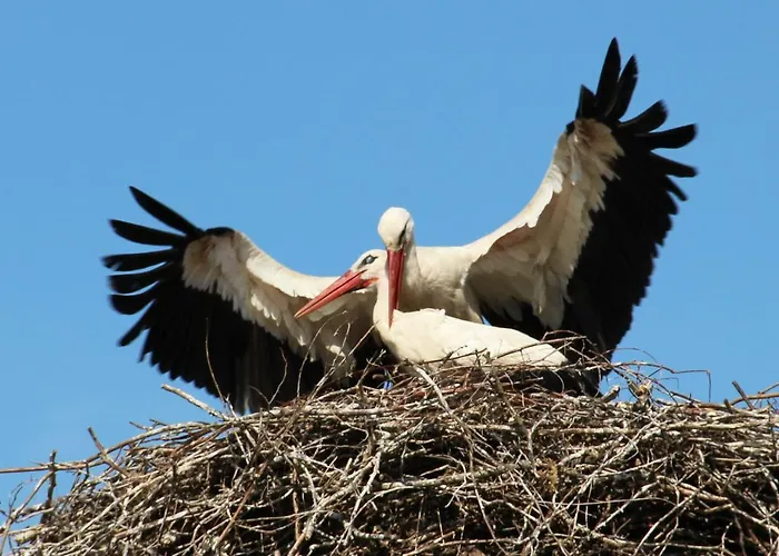 Ramotowka Apartmán *